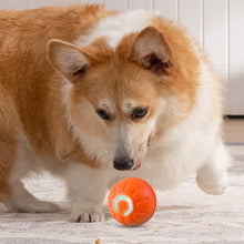 Load image into Gallery viewer, Automatic Moving Dog Toy Ball Smart USB Jumping Rotating Interactive Dog Chew Toy Ball for Puppy Ball Toys
